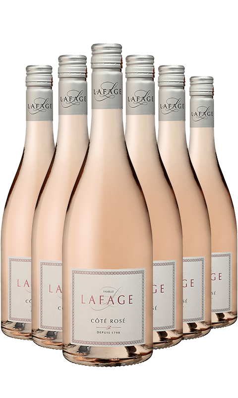 שישיית דומיין לפאג' קוט סוד רוזה 